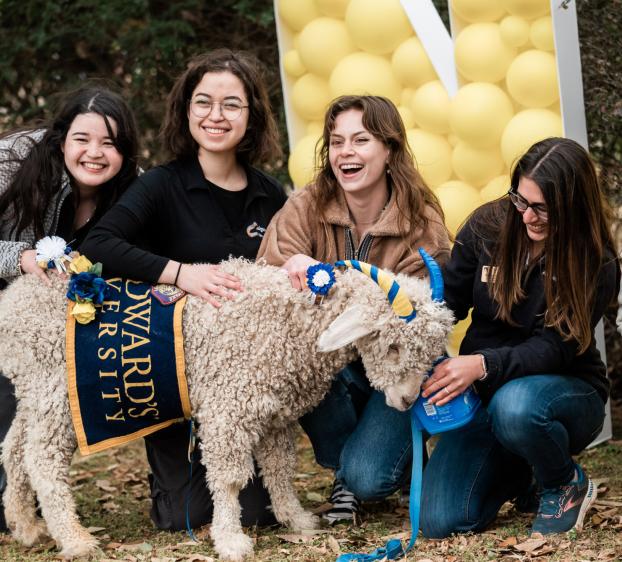 Four students smile and pet the live goat mascot, who is wearing a St. Edward's blanket.