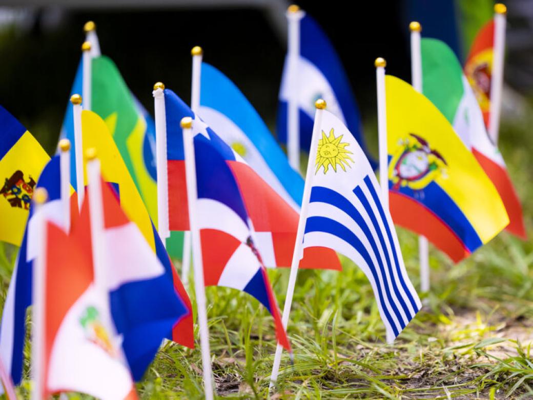 Mini flags of various countries are staked into the ground.