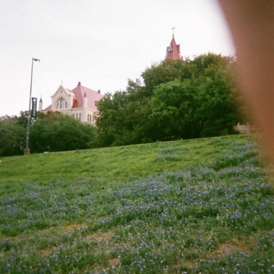 Main Building is seen behind trees and a field of bluebonnets.