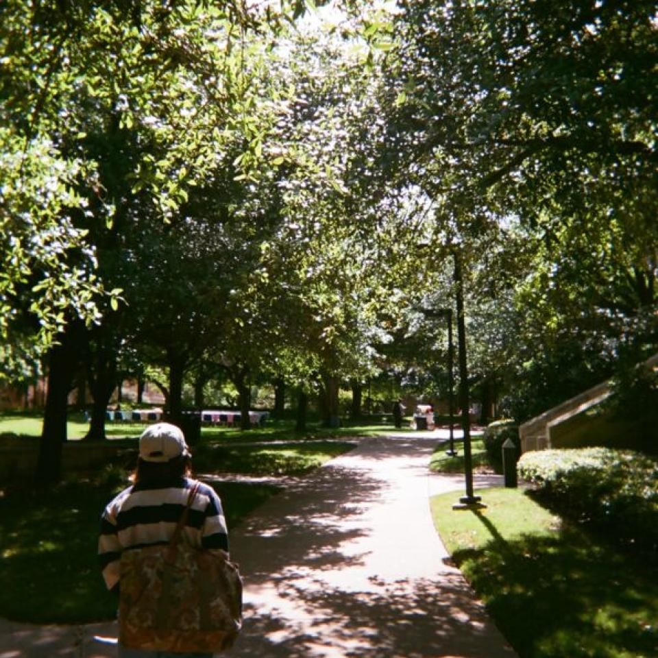 A student walks on a tree-lined path on campus.