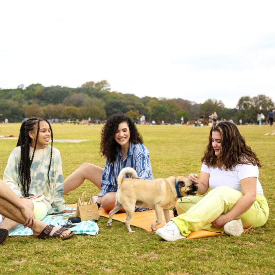 Students sitting together and petting a dog on the soccer field at St. Edward's.