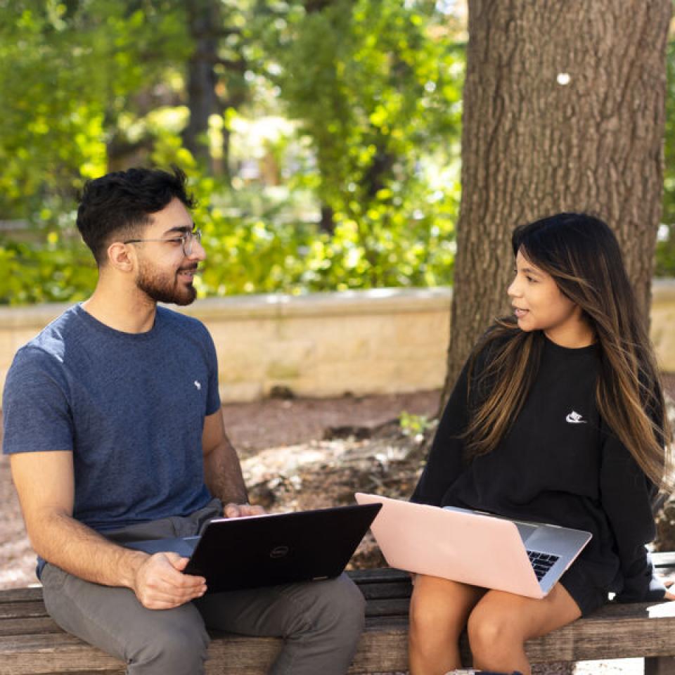 Students studying on their laptops on campus.