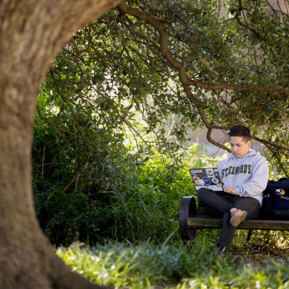 Ethan Tobias sits on a bench behind Sorin Oak with his laptop in his lap and studies.