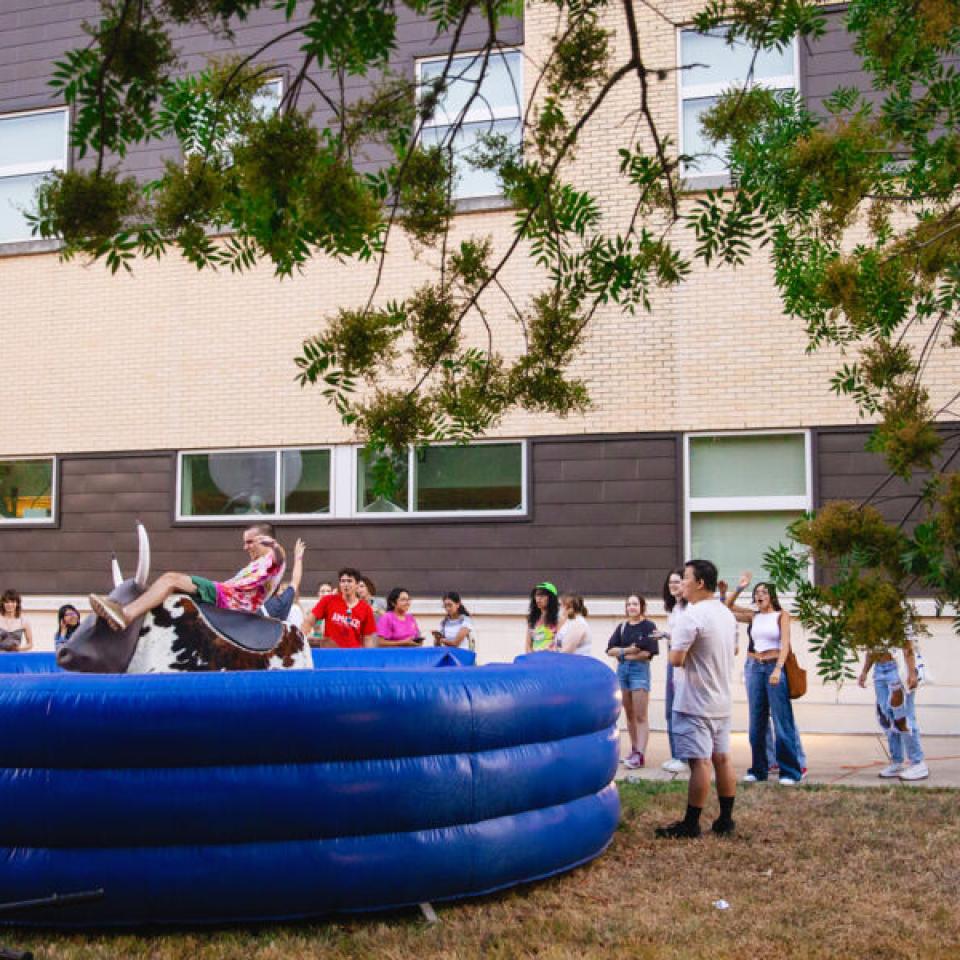 student riding bull at block party