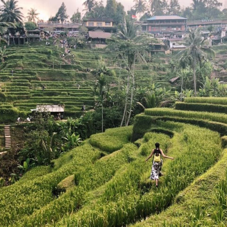 Aida Domingo walks through rice fields.