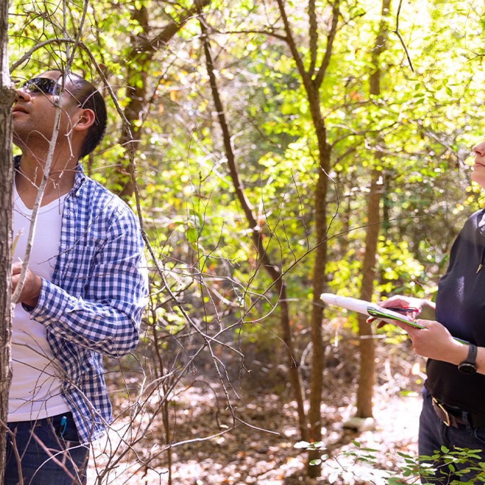 Environmental biology students at the Blunn Creek Nature Preserve 