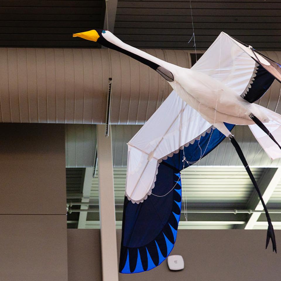 The image shows a large kite designed to resemble a bird in flight, suspended from the ceiling indoors. The bird has a long neck, a yellow beak, white wings with blue and black accents, and long black legs trailing behind. The setting appears to be a modern building with exposed ducts and industrial lighting, suggesting an exhibition space. The bird kite's intricate design and lifelike appearance make it a striking piece of art.