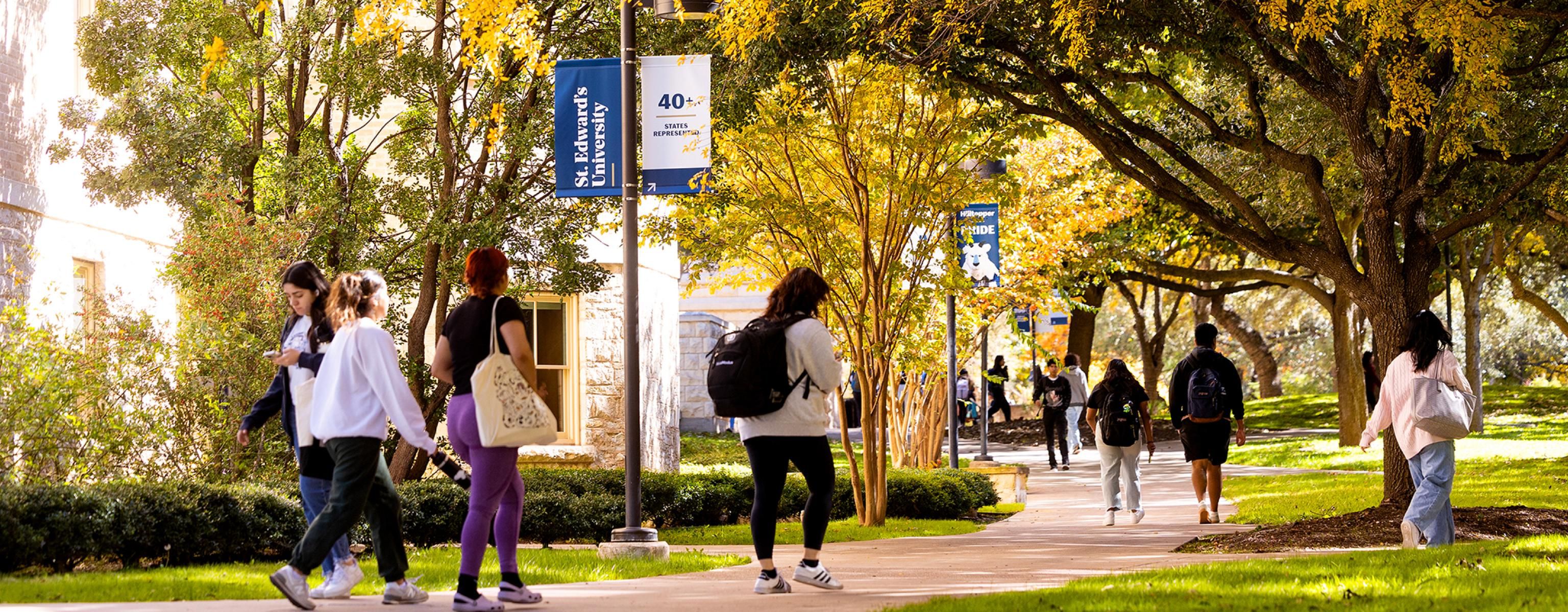 The image shows a serene, tree-lined walkway on a university campus during fall. The trees have vibrant yellow leaves, creating a canopy over the path. Several students are walking along the path, some with backpacks, and others carrying bags. The atmosphere is calm and inviting, with the warm colors of autumn leaves contrasting against the greenery. Banners with the words "St. Edward's University" are visible along the walkway.