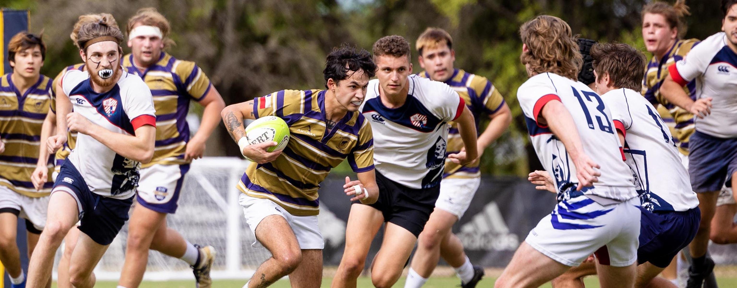 This image captures an intense moment in a rugby match. A player in a gold and purple striped jersey is running with the ball, evading players from the opposing team who are dressed in white jerseys with blue and red accents. The scene is dynamic, with multiple players in action, some running and others preparing to tackle. The background includes a blurred view of trees. The players display focus and determination, highlighting the competitive nature of the sport.