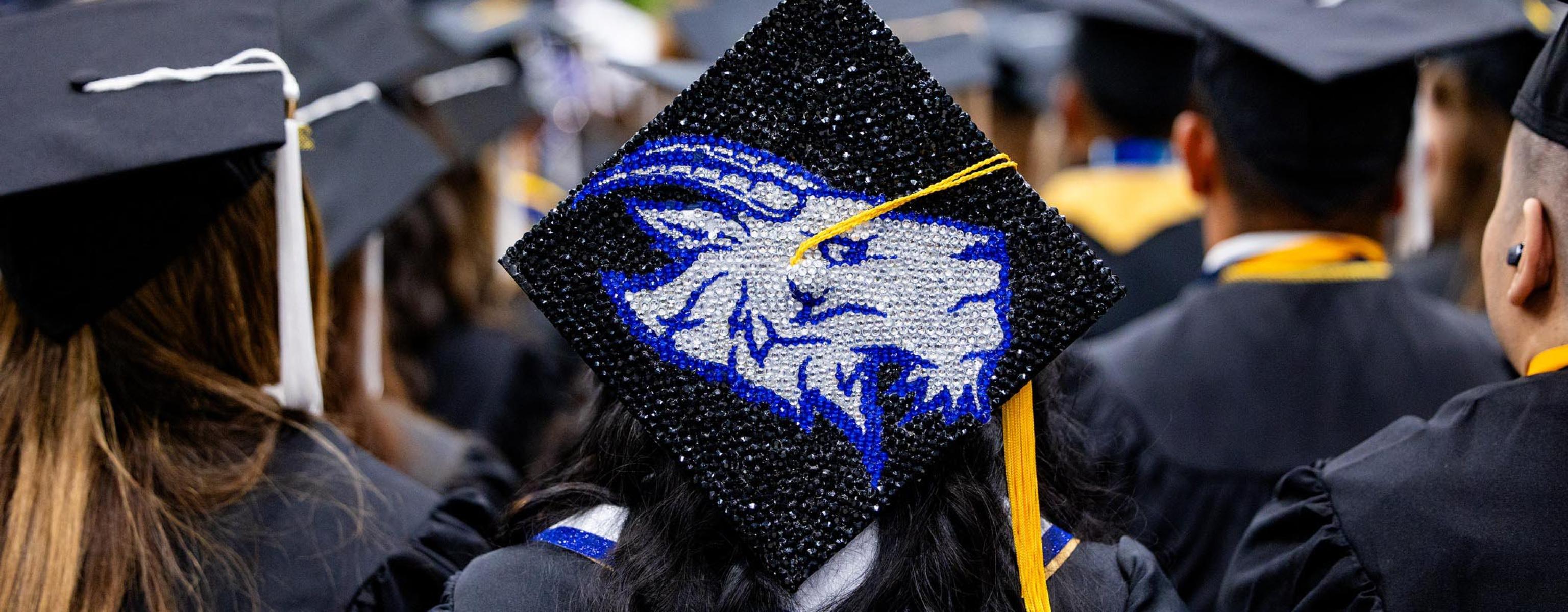 Photograph of a graduating senior's cap decorated with a Topper design.