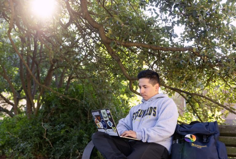 A student wears a St. Edward's sweatshirt and sits on a bench with a backpack beside them and types on their laptop. Sunlight comes through the tree branches behind the student.