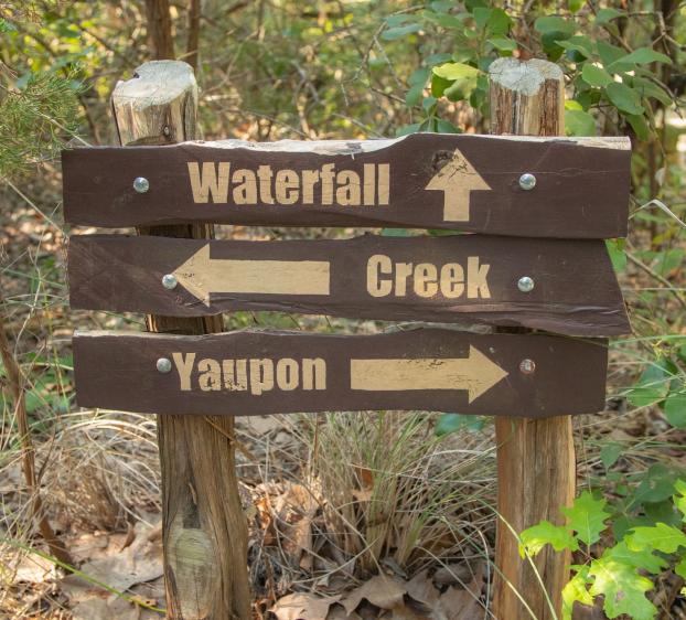 The image depicts a wooden directional signpost in a natural setting. An upward-pointing arrow indicates the direction to a waterfall. The left-pointing arrow suggests the way to a creek. The right-pointing arrow possibly indicates a trail or area named Yaupon. The signpost is surrounded by trees and foliage, suggesting it's located in a park or nature reserve.