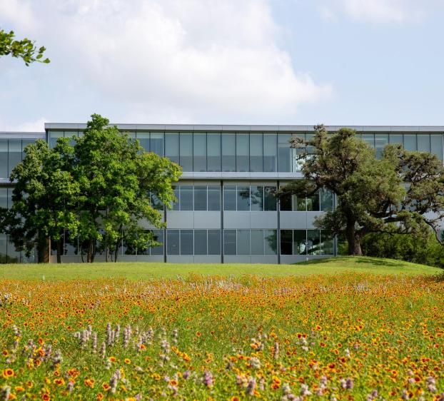 The image shows a modern, multi-story building with large glass windows. In front of the building, there is a field filled with various wildflowers in bloom, displaying a mix of colors. Several trees are scattered around the field, providing a mix of greenery. The sky is partly cloudy with patches of blue visible. The setting appears to be a peaceful and natural campus or park environment.