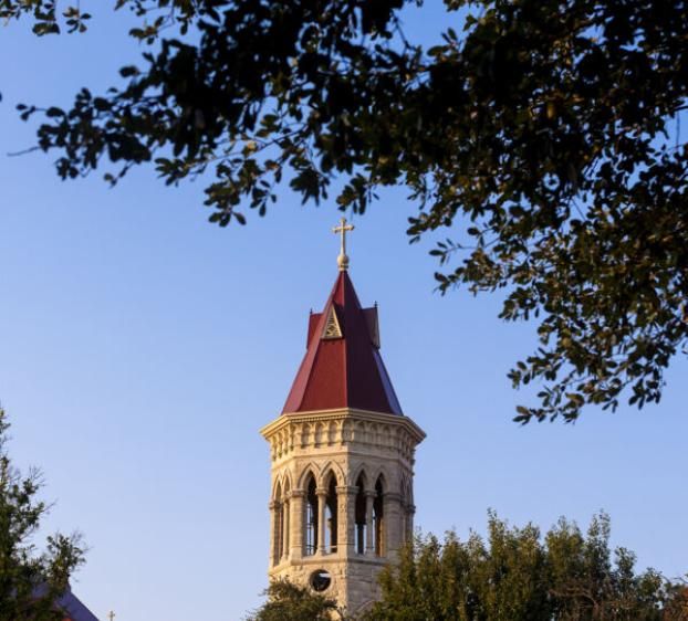 Main Building's steeple at sunset, framed by trees branches in the foreground.