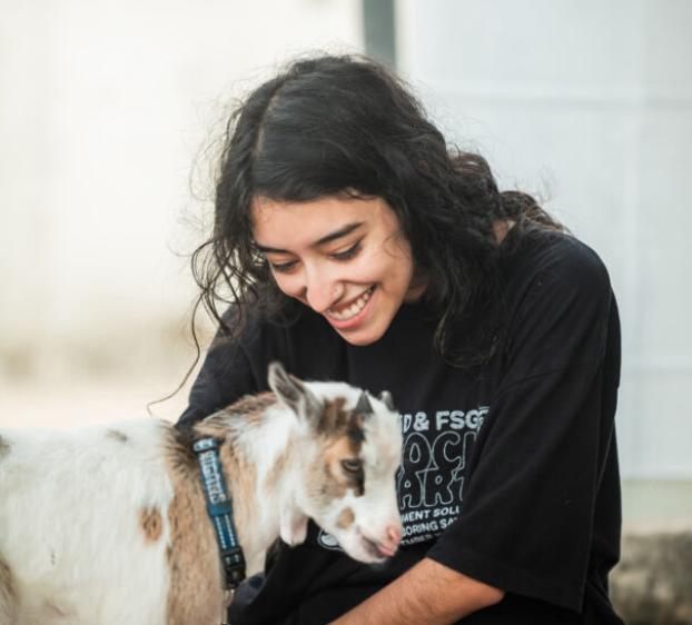 St. Edward's student participating in goat yoga on campus