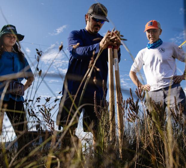 A student and a professor watch as a student between them digs and takes a soil sample during a field research trip