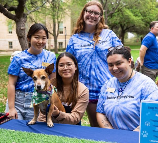 Four Peer Health Educators sit at a table while one of them holds a therapy dog wearing a daisy bandana.