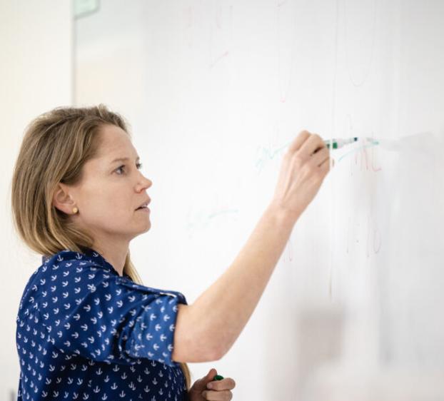 Professor Claire Edwards writing on board