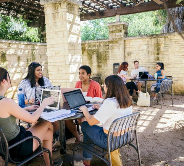 Four students sit at a table on a sunny patio and chat with their laptops open as three students do the same at a table behind them. The patio is enclosed with stone walls and has a pergola of greenery over it.