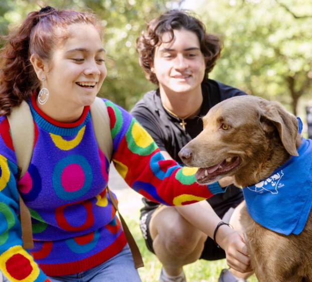 Students with a dog during a dog therapy session