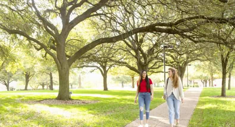 students walking and talking on campus