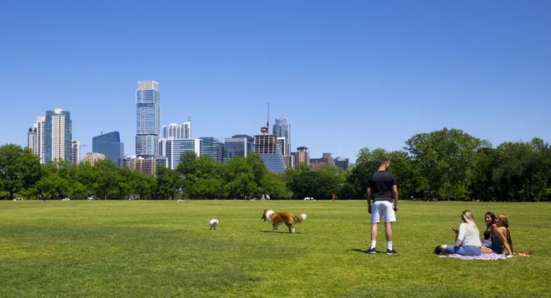 At Zilker Park, two dogs play with one another while a person watches and a group of friends sit on a blanket. The skyline of Austin is in the background.