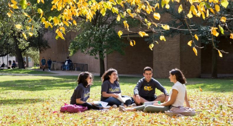 Four students sit on a lawn amongst autumn leaves.