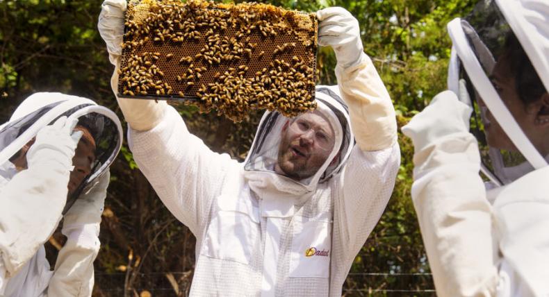 Biology students at St. Edward's work with their professor to monitor a bee hive on campus