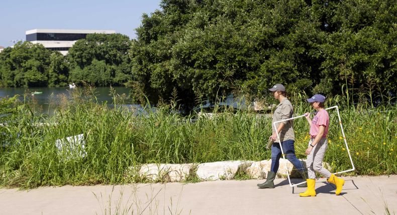 Students conduct research near Lady Bird Lake.