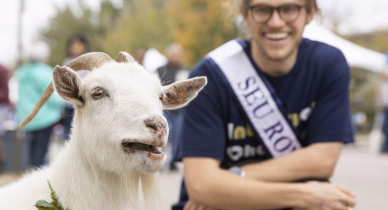 homecoming campus mascot goat on campus with a student 