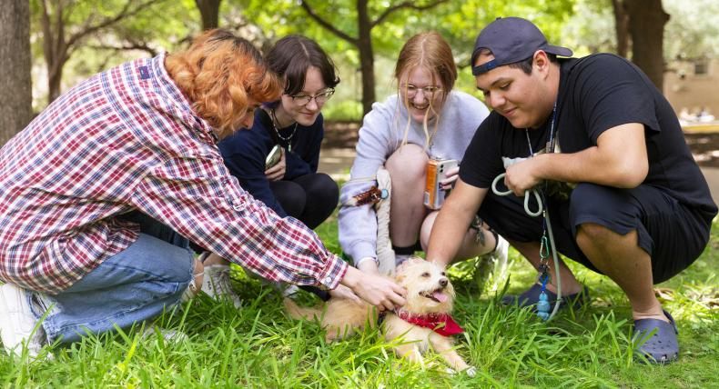 Four students gather around and pet a therapy dog.