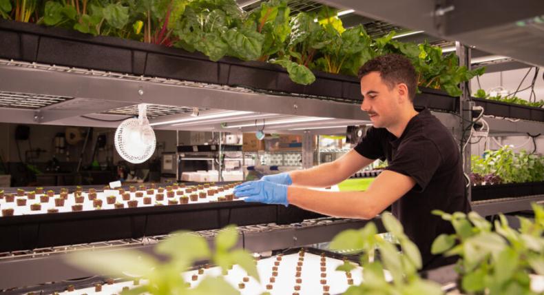 Matthew Horgan works with soil in a greenhouse