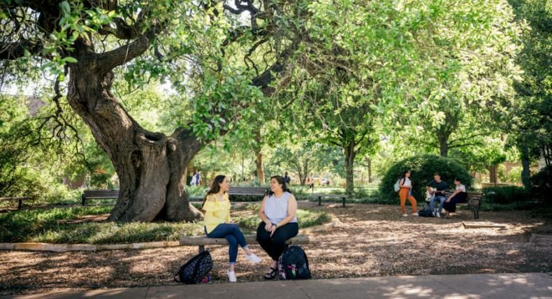 Students enjoy a visit while sitting under Sorin Oak on the St. Edward's University campus.