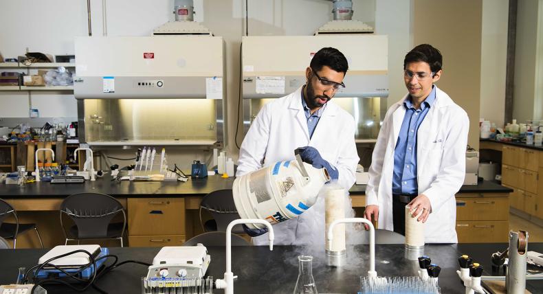 A student and a professor work in a chemistry lab.