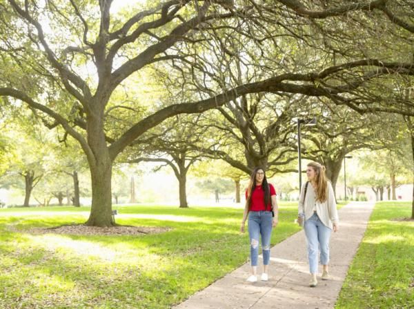 students walking and talking on campus