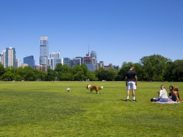 At Zilker Park, two dogs play with one another while a person watches and a group of friends sit on a blanket. The skyline of Austin is in the background.