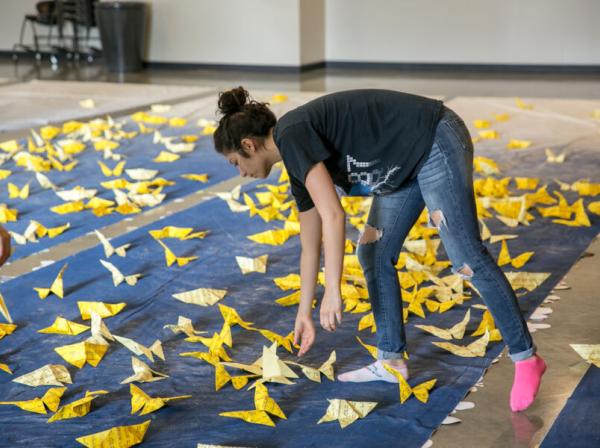 Butterfly Project at Bullock Museum