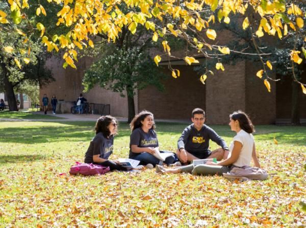 Four students sit on a lawn amongst autumn leaves.