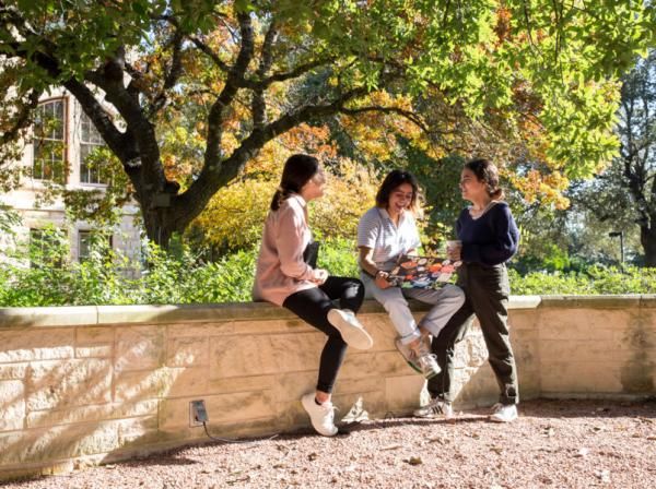 Three students sit on campus gathered around a laptop.