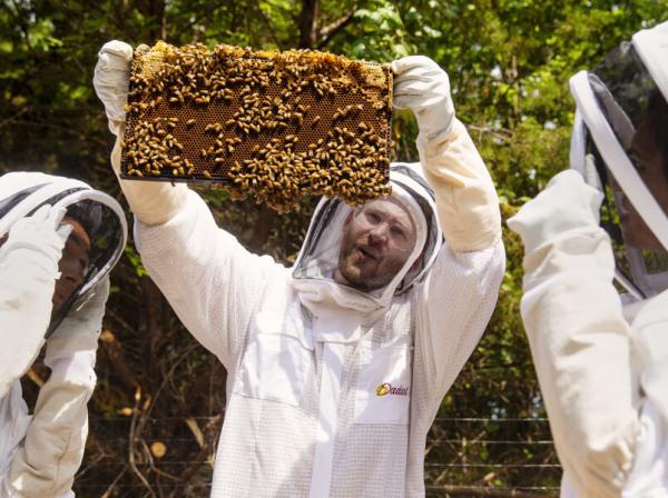 Biology students at St. Edward's work with their professor to monitor a bee hive on campus