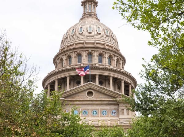 The image depicts the dome of a government building, likely the state capitol of Texas, viewed through surrounding greenery. The dome is intricately detailed with classical architectural elements, including columns and ornamental designs. An American flag is prominently displayed in front of the building, adding to the patriotic atmosphere. The bright, cloudy sky forms the background, while the trees framing the structure provide a natural contrast to the stone architecture.