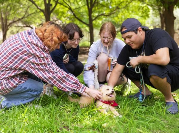 Four students gather around and pet a therapy dog.