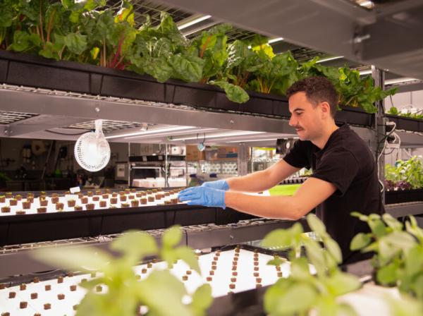 Matthew Horgan works with soil in a greenhouse