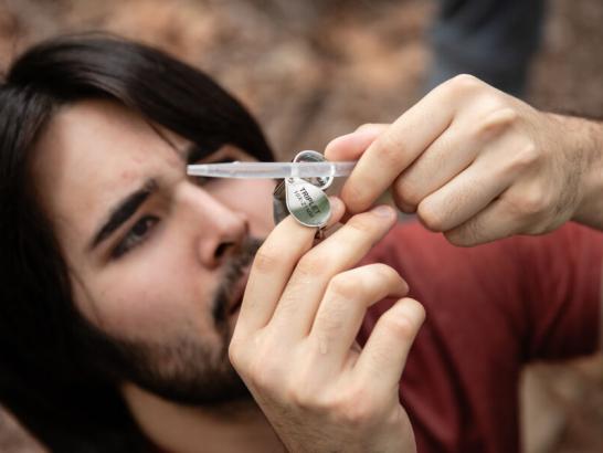 A student holds up a pipette and uses a small magnifying glass to look inside for a specimen. 