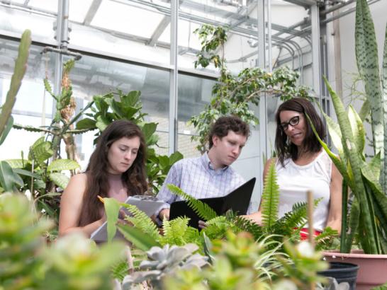 The image shows three people in a greenhouse filled with various plants. A woman with long dark hair on the left is writing on a clipboard, a man in the center wearing a checkered shirt is looking at a black folder, and a woman on the right with glasses and a white sleeveless top is also engaged in the task. They appear to be studying or conducting research on the plants. The setting is bright with natural light coming through the greenhouse windows, creating a focused and collaborative atmosphere.