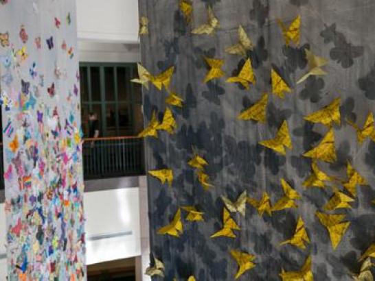butterfly installation at st. edward's university