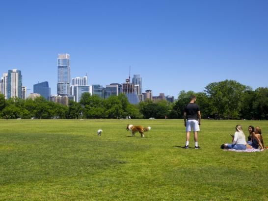 Students at Zilker park