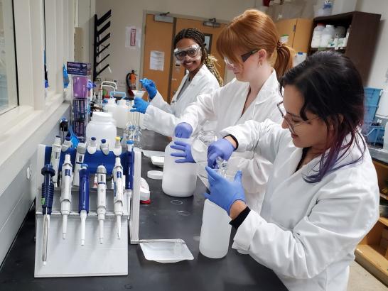 Teaching Assistants work with students on a biochemistry experiment in the School of Natural Sciences lab