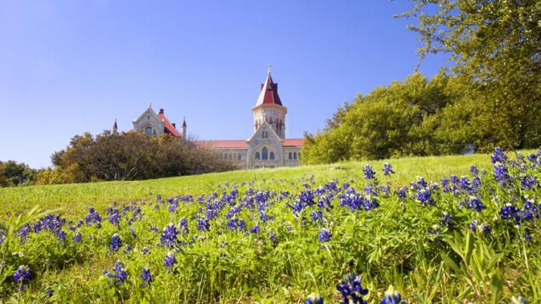 Bluebonnets on the hilltop