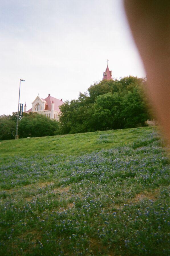 A view of bluebonnets and Main Building.